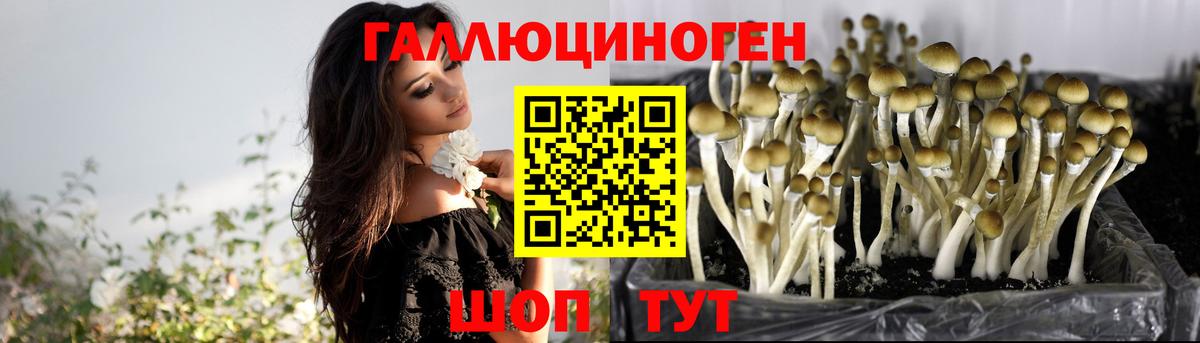 Псилоцибиновые грибы MAGIC MUSHROOMS Смоленск